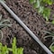 Raindrip Raindrip Vinyl Drip Irrigation Tubing 1/4 in. D X 50 ft. L R255DT - alternate 2